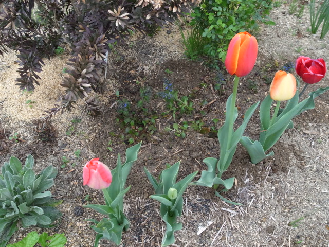 f0197703_1214199.jpg