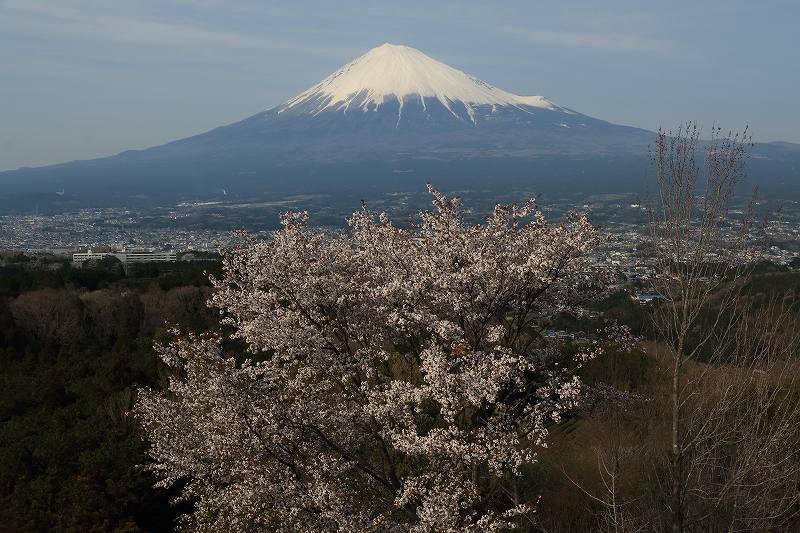 a0188405_7513238.jpg
