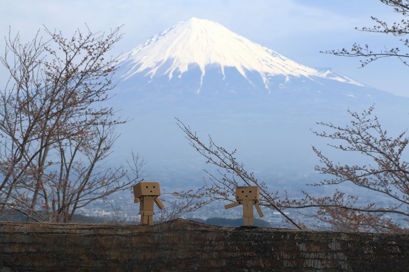 a0188405_87278.jpg