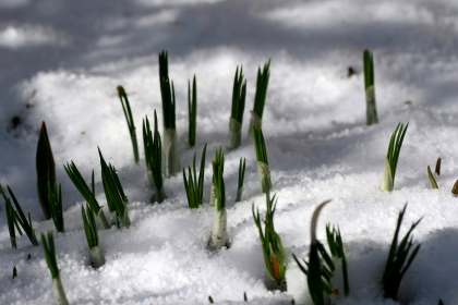 f0041606_18452012.jpg