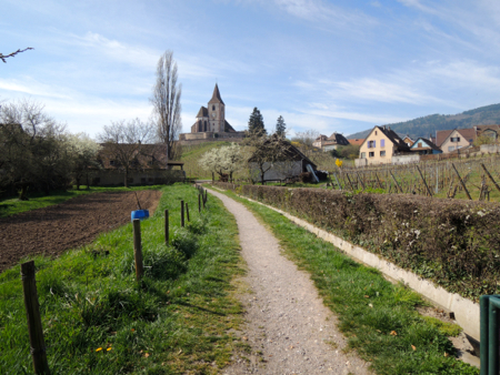 e0014507_1236342.jpg