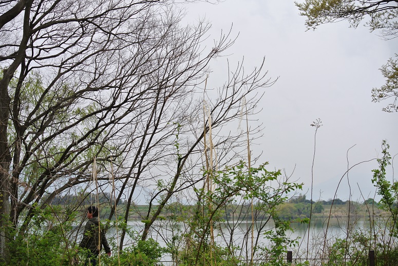 f0179209_2043455.jpg