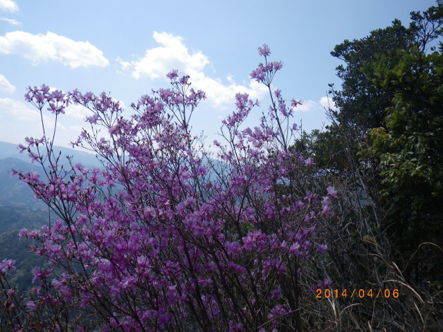 d0006512_022256.jpg