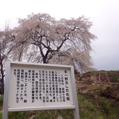 c0175715_16145560.jpg