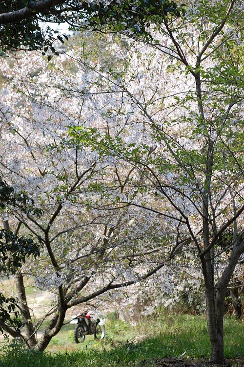 f0248120_1818696.jpg