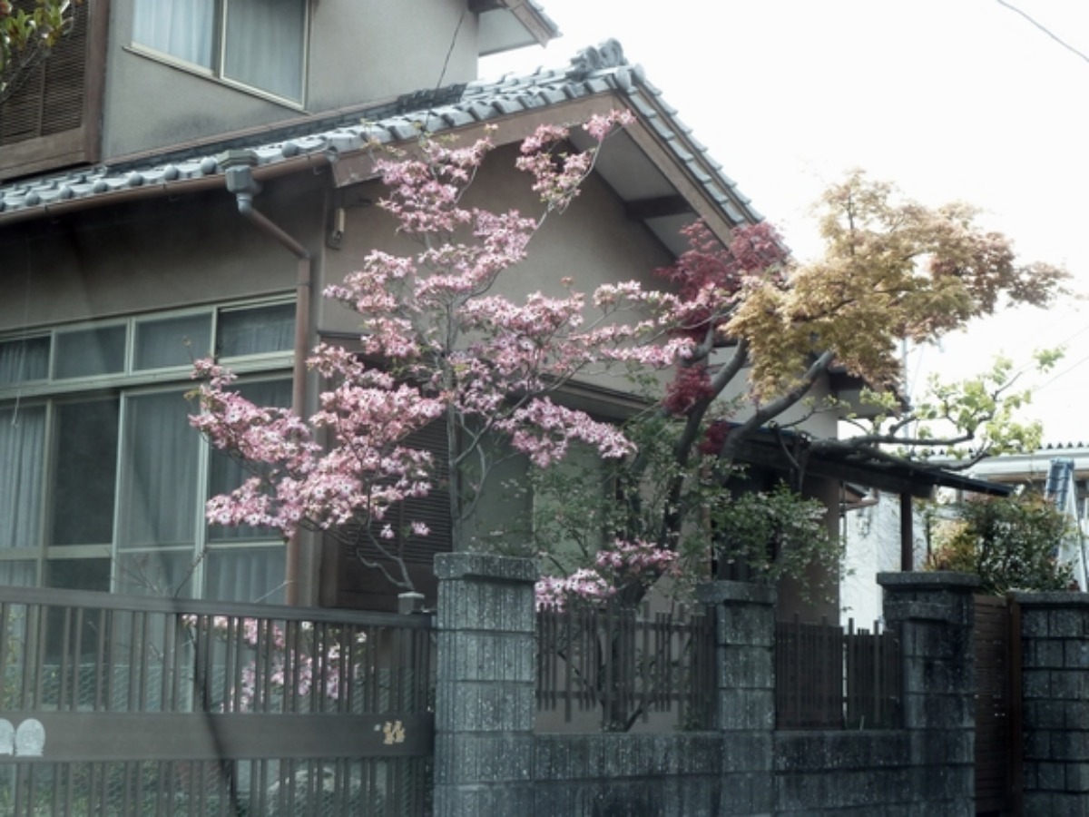 e0033229_21383780.jpg