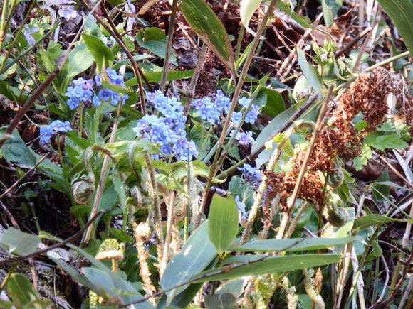 f0118332_20541371.jpg