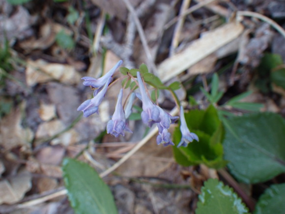 f0118332_2131417.jpg