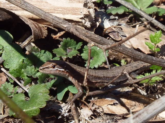 f0118332_2328173.jpg