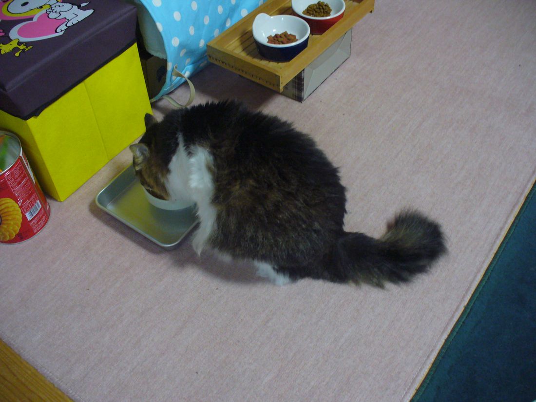 f0275632_22514433.jpg