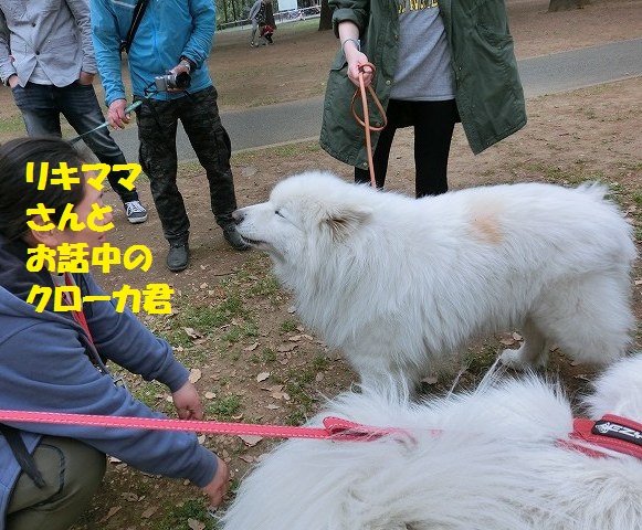 e0196135_1029810.jpg