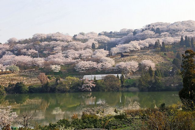 a0242438_1838886.jpg