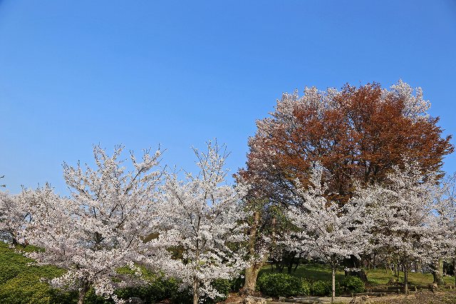 a0242438_18412720.jpg