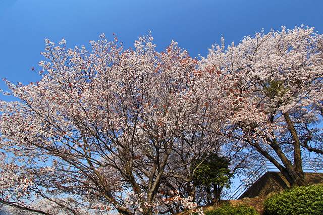 a0242438_1842390.jpg