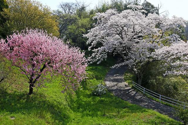 a0242438_19172539.jpg
