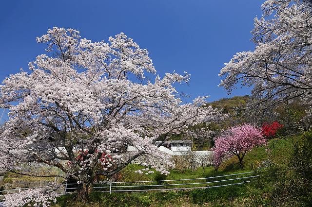 a0242438_19175028.jpg