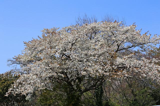 a0242438_22101874.jpg