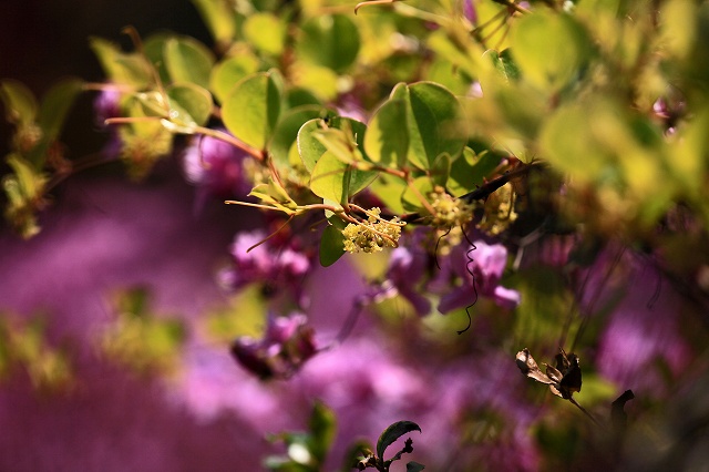 a0242438_2221616.jpg