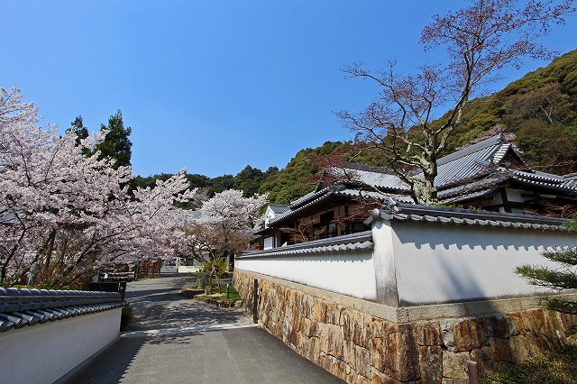 a0242438_22441946.jpg