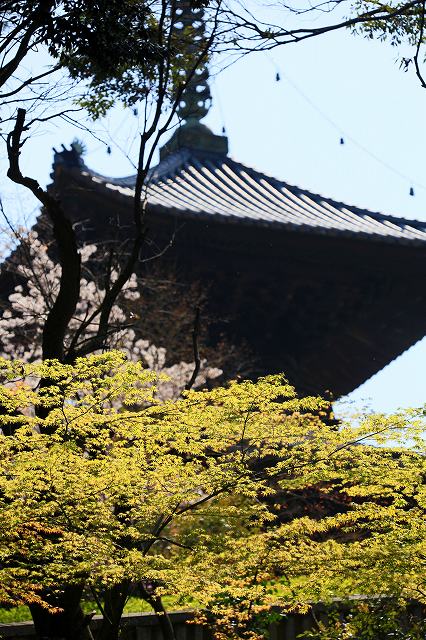 a0242438_22445795.jpg