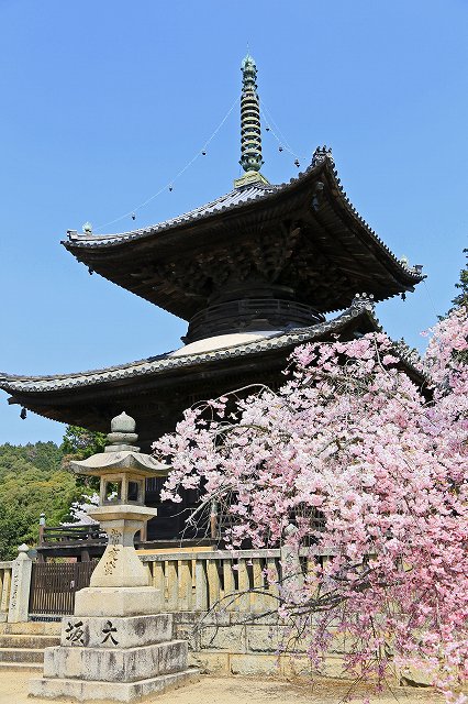a0242438_22452578.jpg