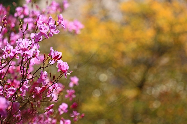 a0242438_2291447.jpg