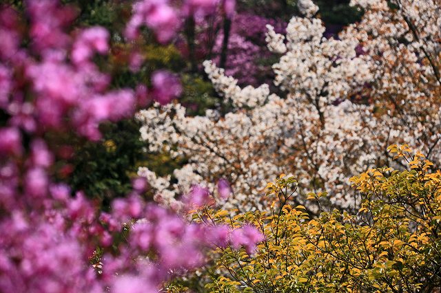 a0242438_2291966.jpg