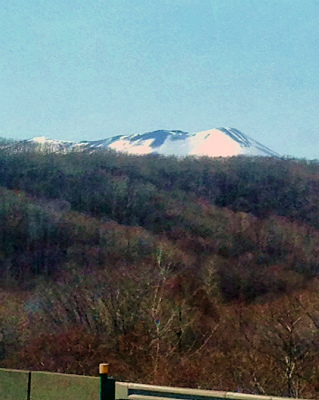 a0135840_8113559.jpg