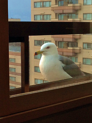 a0135840_8283381.jpg