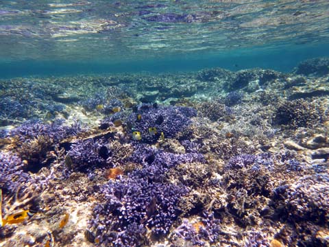 f0014842_1933148.jpg