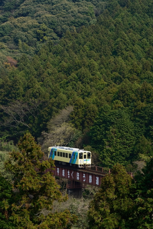 b0190445_3561265.jpg