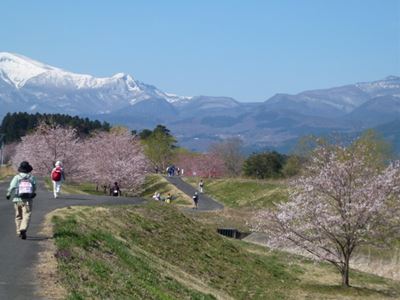 b0220251_20275752.jpg