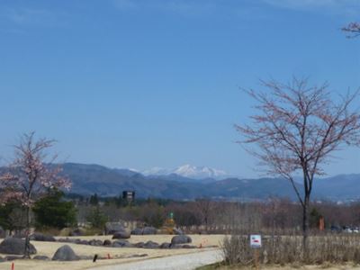 b0220251_20325546.jpg