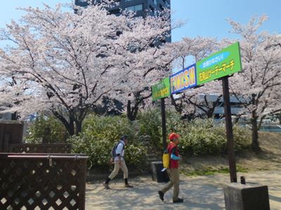 b0220251_4375391.jpg
