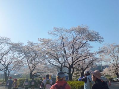 b0220251_520640.jpg