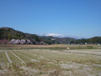 b0220251_662337.jpg