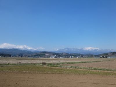 b0220251_673468.jpg