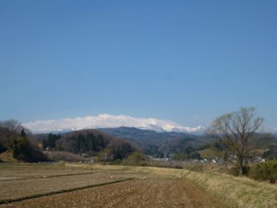 b0220251_67470.jpg
