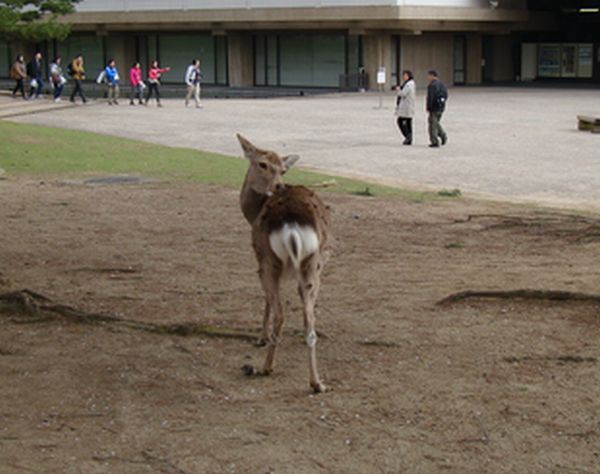 e0083155_20502020.jpg