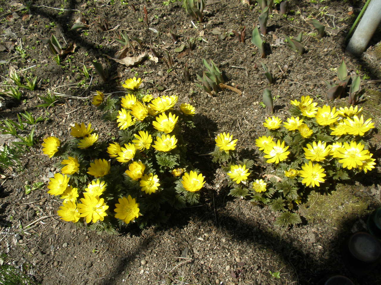 d0150967_22471350.jpg