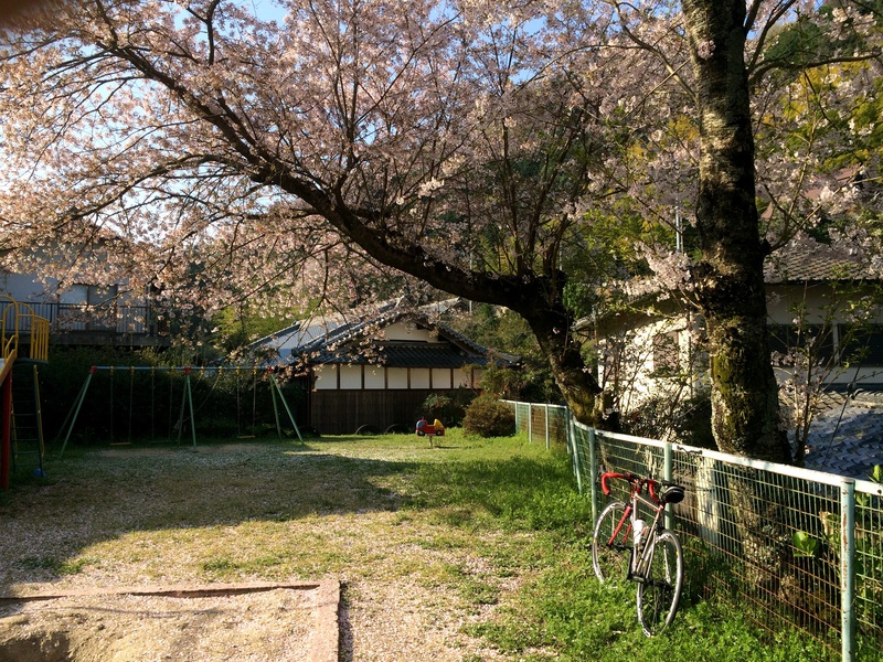 c0177576_19575096.jpg