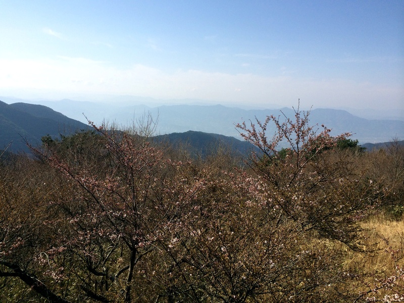 c0177576_2003120.jpg