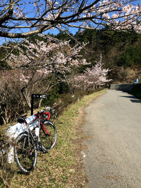 c0177576_2013387.jpg