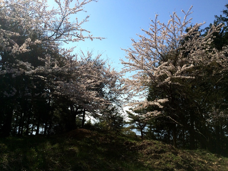 c0177576_2024816.jpg