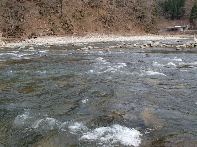 a0093677_21362488.jpg