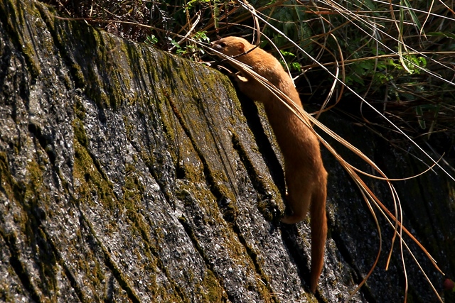 d0126577_20151510.jpg