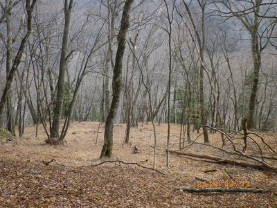 c0145582_12264062.jpg