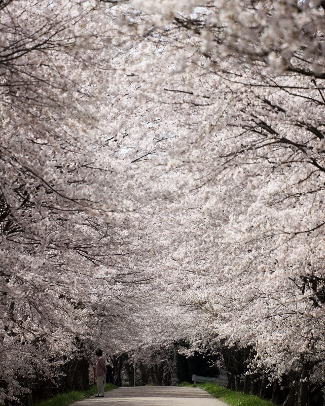 b0227088_22522494.jpg