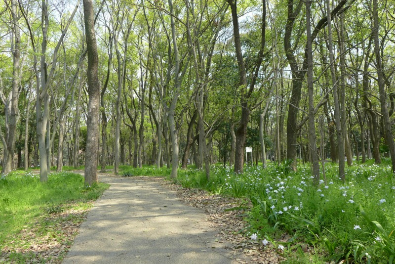 a0127090_2010046.jpg