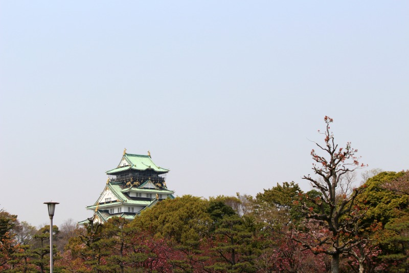 a0127090_20294674.jpg